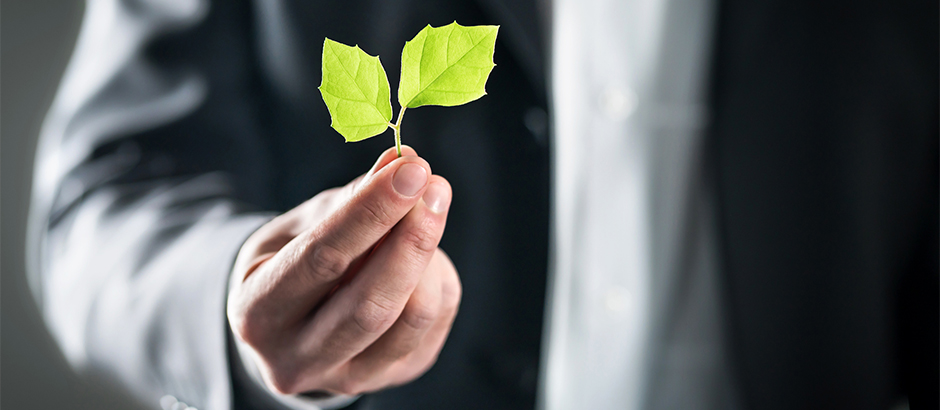 Weiterbildungen Nachhaltigkeit: Sustainability Management für Ihr Unternehmen