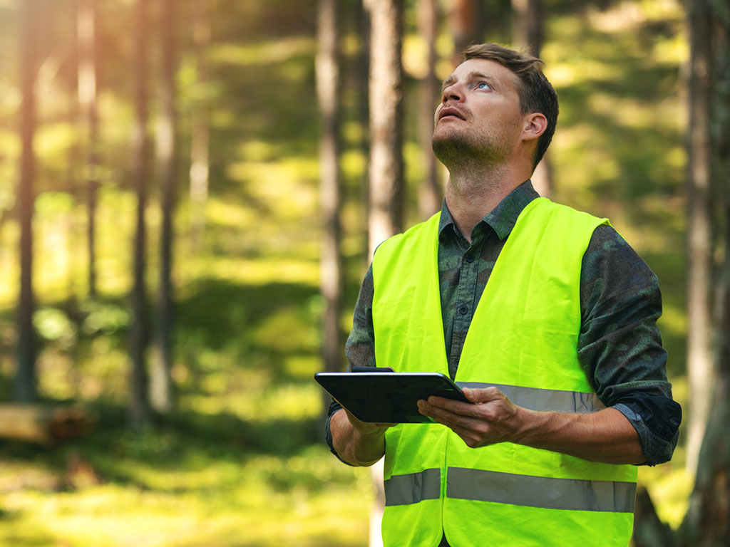 Ein Auditor führt ein Audit im Bereich Umwelt durch.