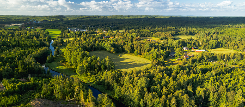 Eine bewaldete Landschaft mit offenen Feldern, gewundenen Flüssen und verstreuten ländlichen Häusern unter einem teilweise bewölkten Himmel.